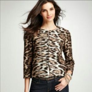 Ann Taylor small leopard jacket, worn once!